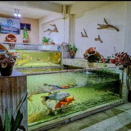 Recanto Villas Boas Ubatuba Ngoại thất bức ảnh
